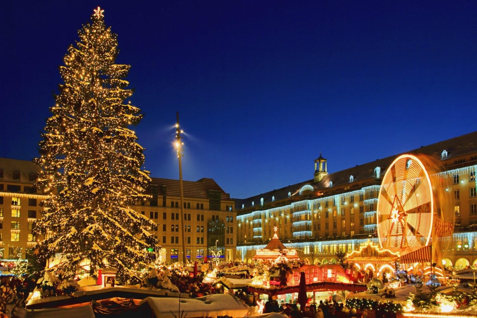 christmas market dresden