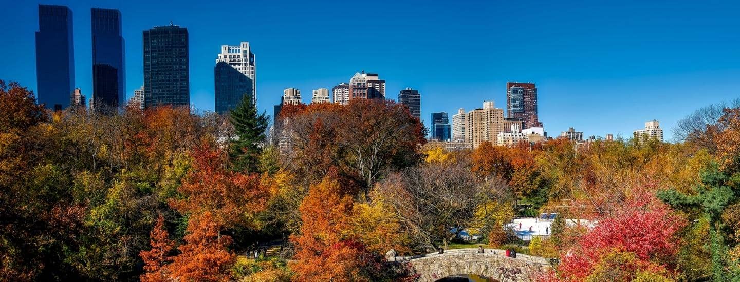 professional photographer in new york